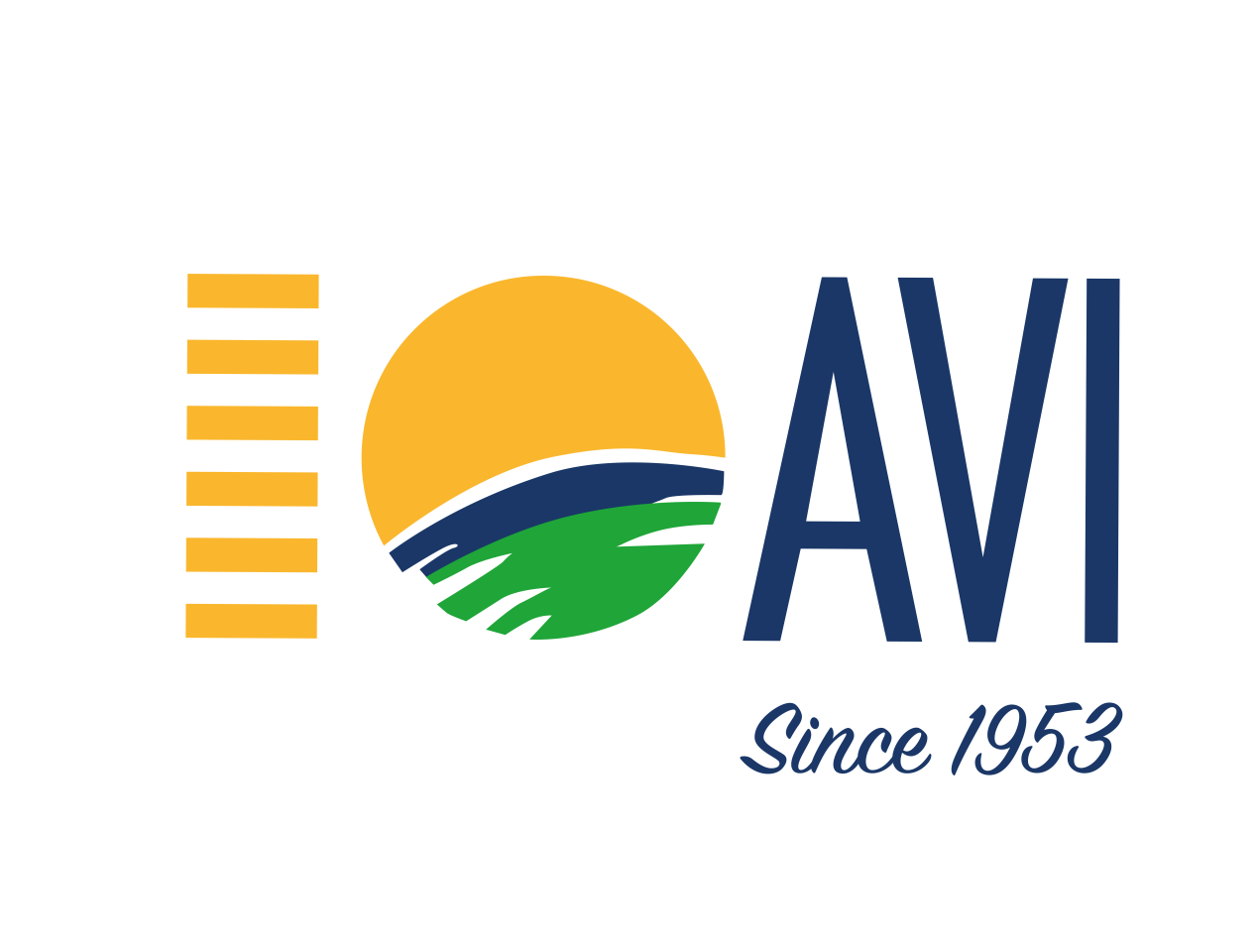 Avi Travel