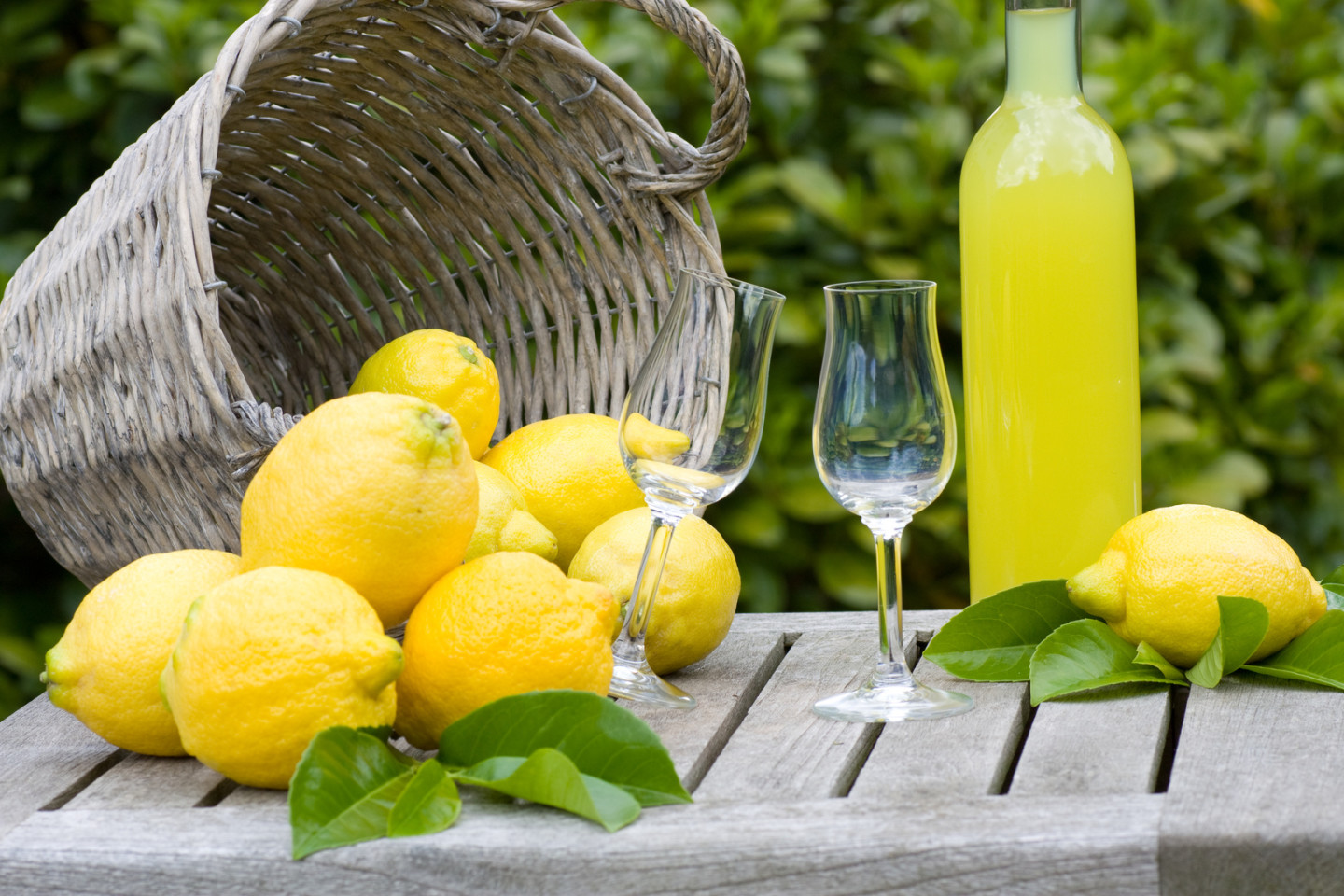 limoncello sorrento tour