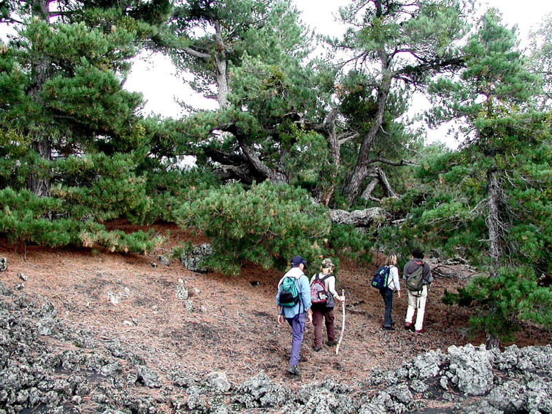 Trekking e relax in Sicilia