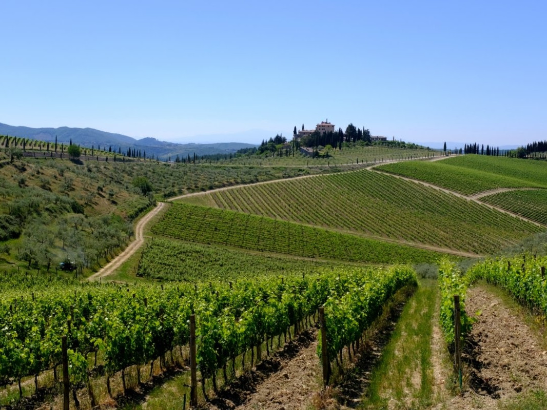 CHIANTI AFTERNOON TOUR